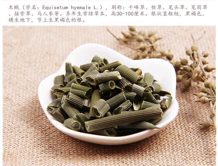 木贼3.jpg