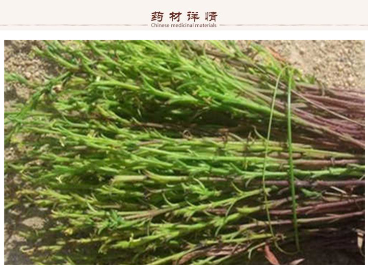 鹿草2.jpg