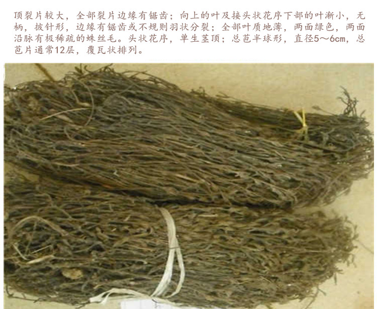 鹿草5.jpg