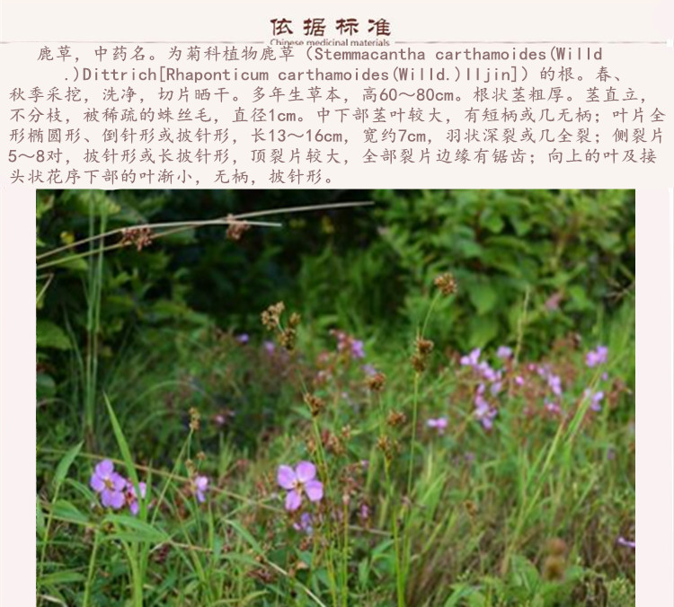 鹿草9.jpg