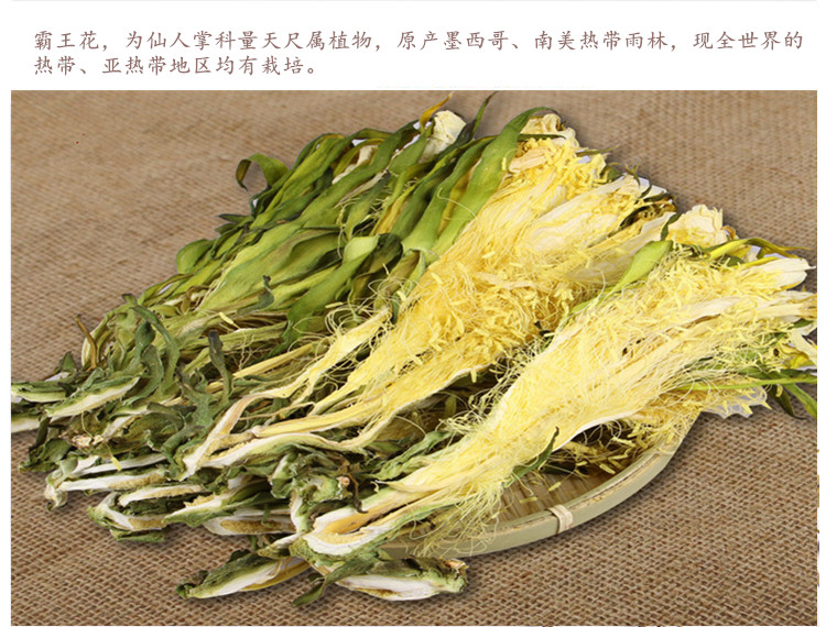 霸王花3.jpg