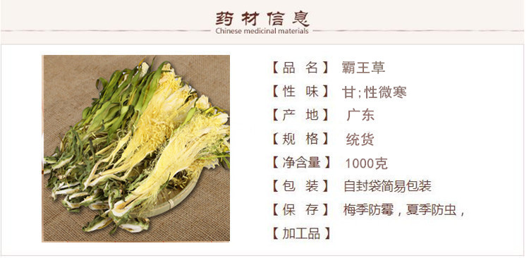 霸王草1.jpg