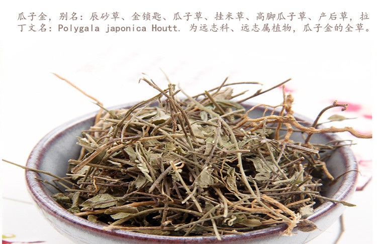 小远志4.jpg
