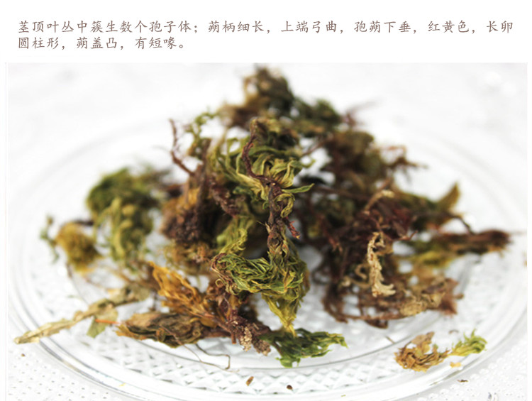 茴心草4.jpg