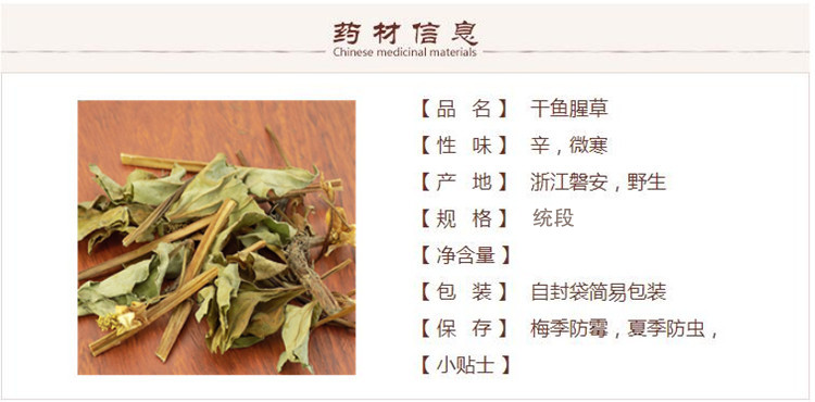 鱼腥草1_副本.jpg