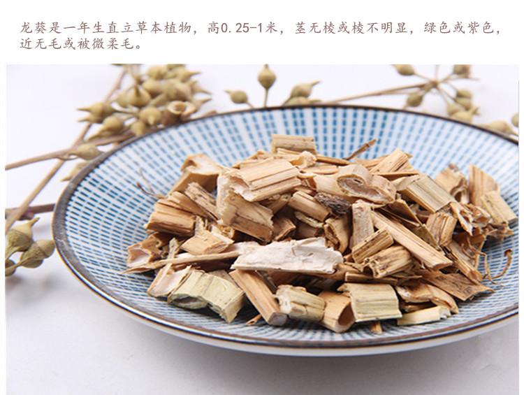 龙葵4.jpg
