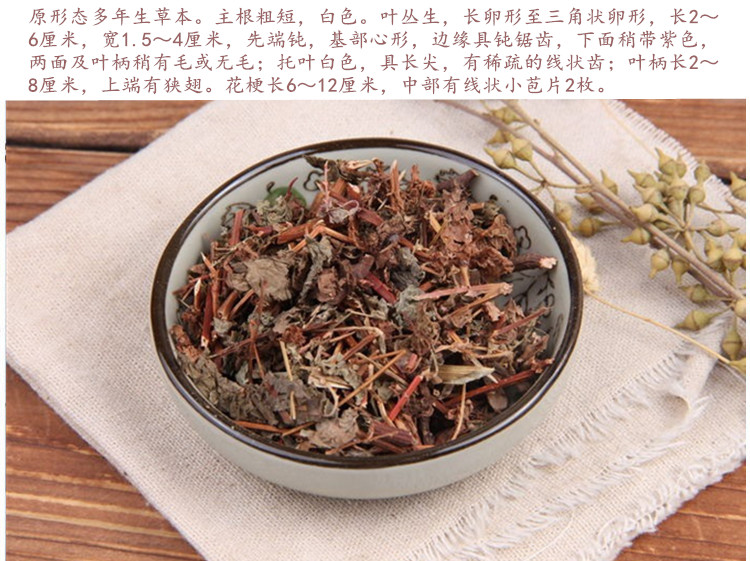 犁头草5.jpg