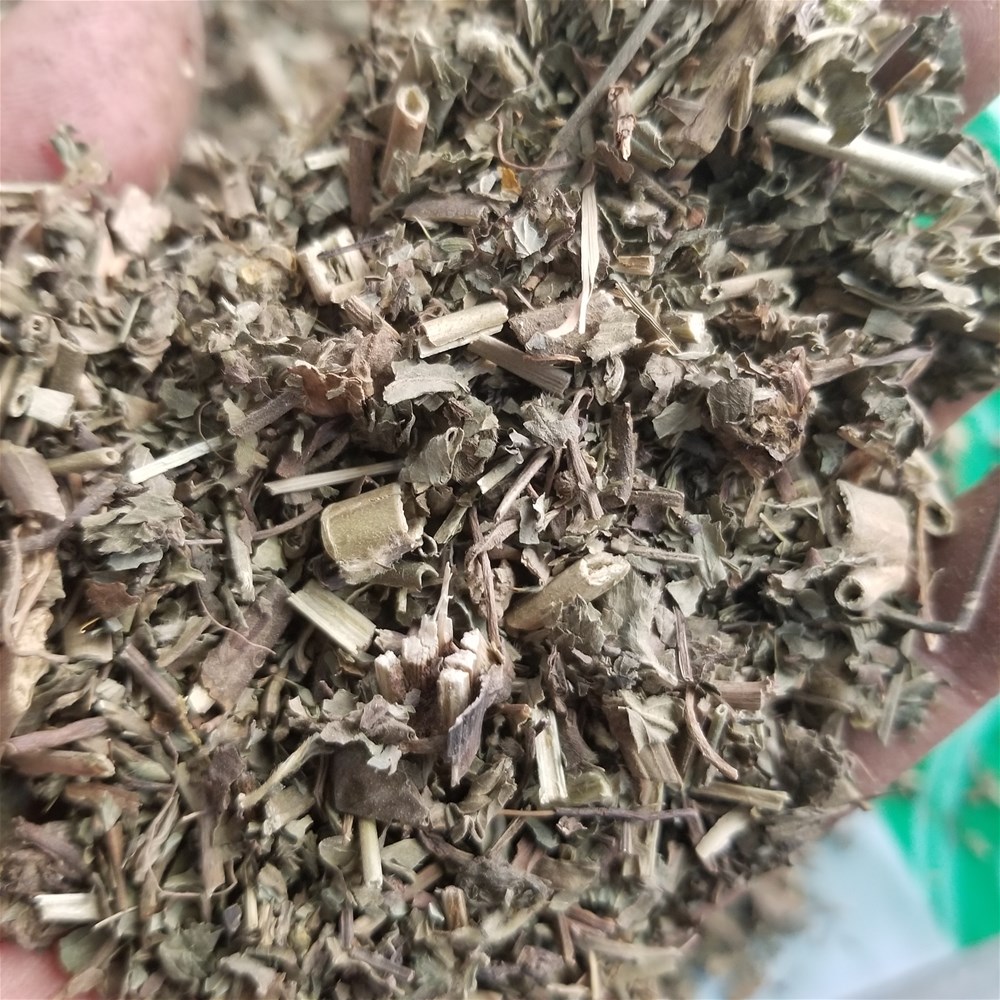 20190327_150051.jpg