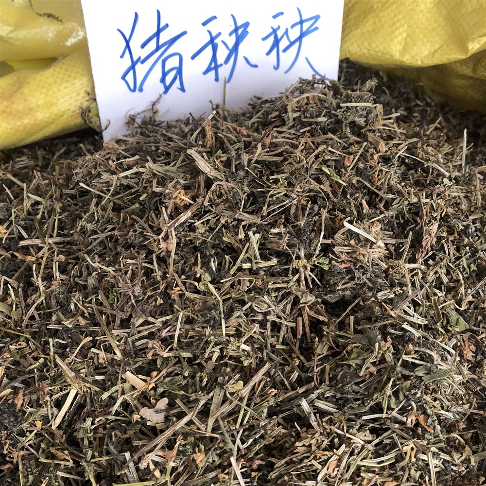 猪殃殃.jpg