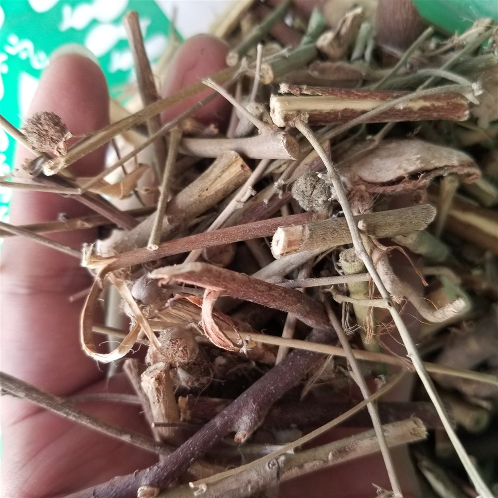 20190403_115239.jpg