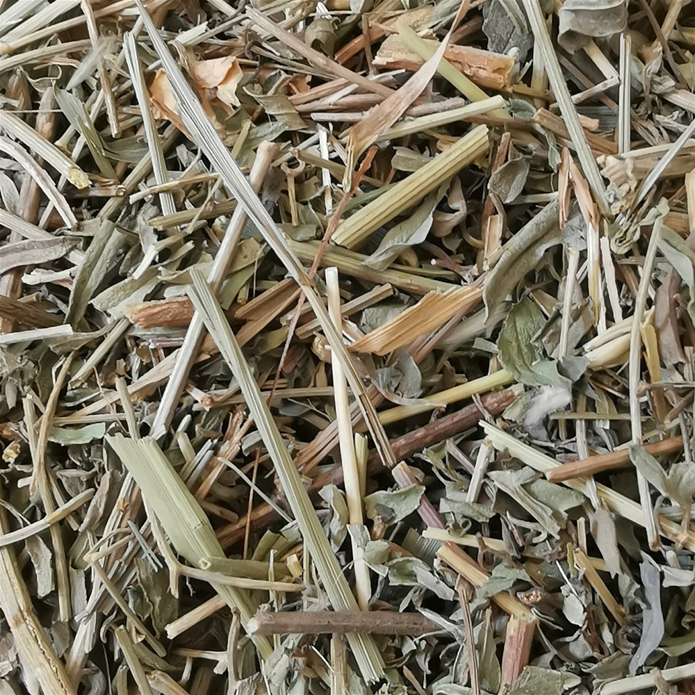 透骨草_副本.jpg