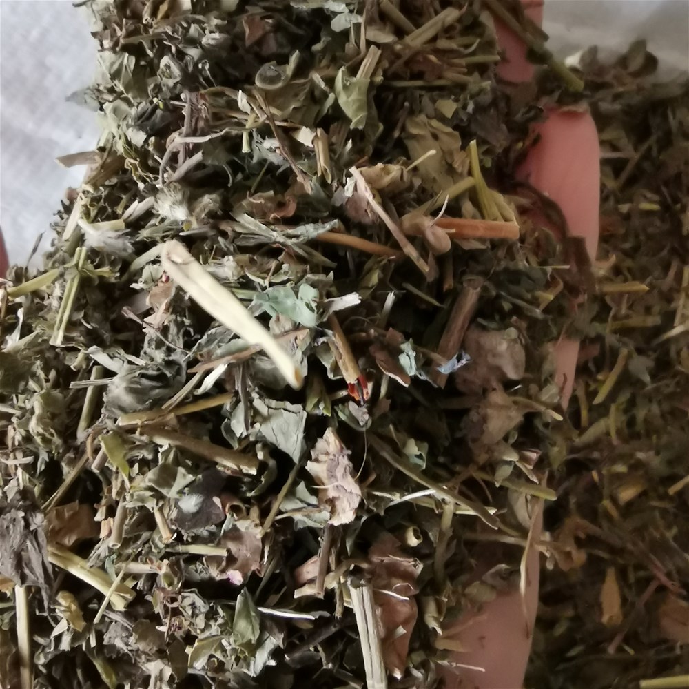 一点红2.jpg