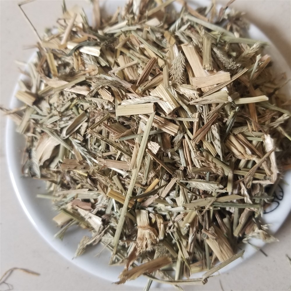 20190324_135305.jpg