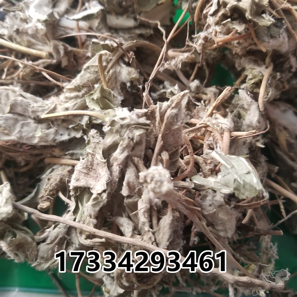 20190301_142054.jpg