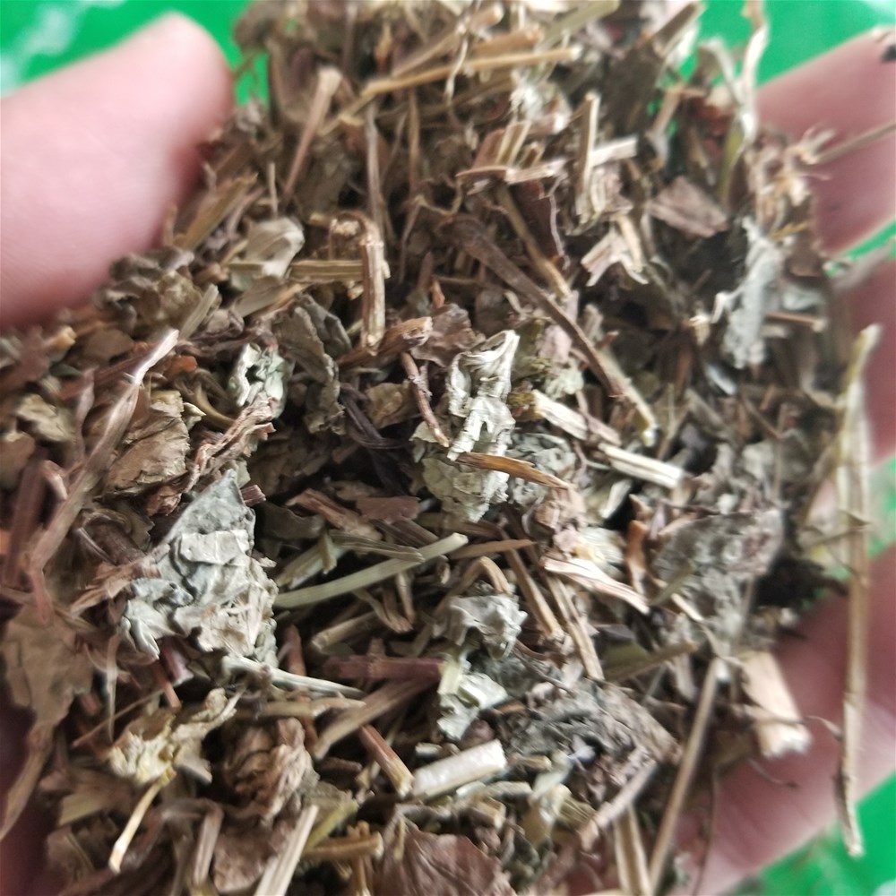 20190326_133958.jpg