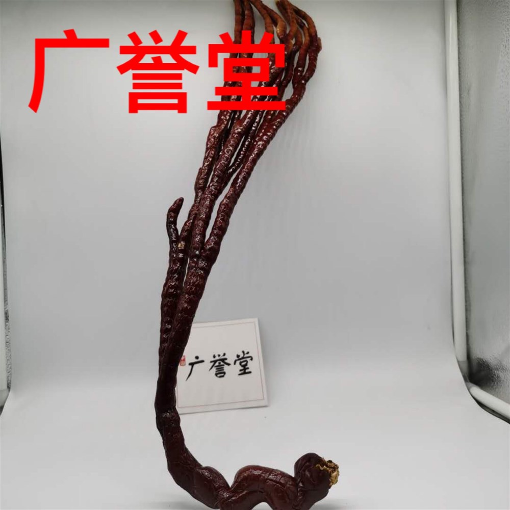 微信图片_20200328173347.jpg