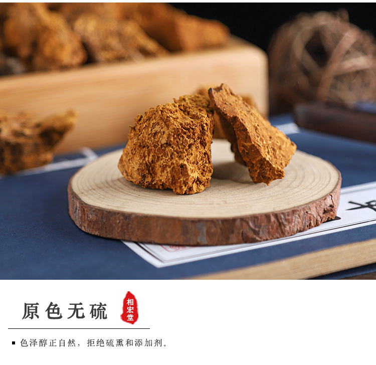 白桦茸5.jpg