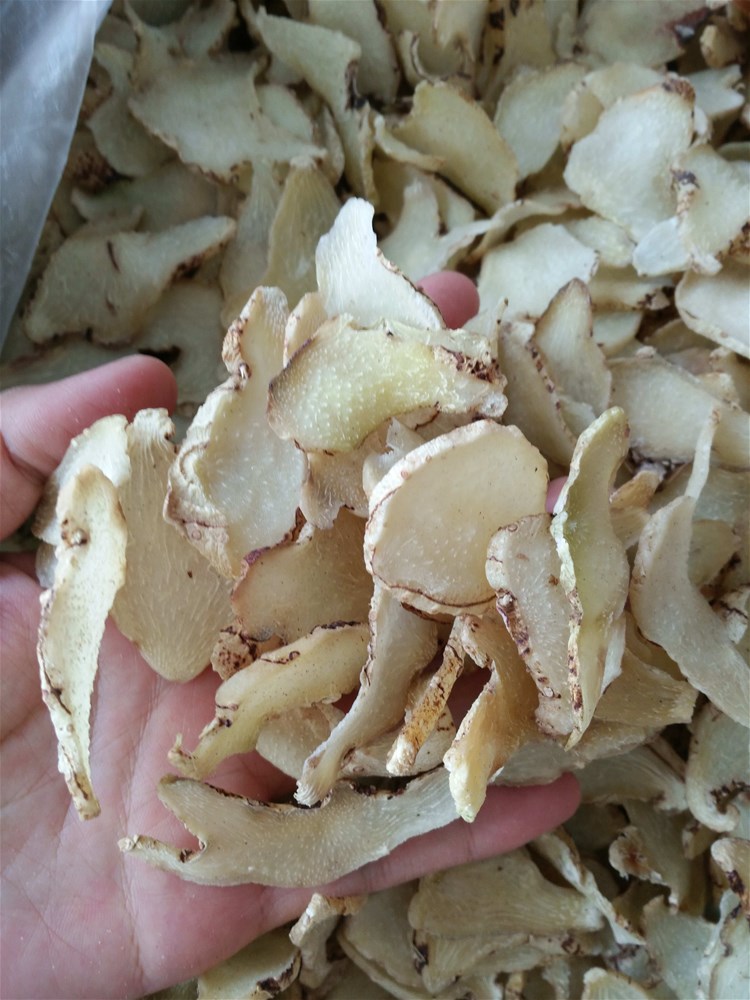 白芨 (14).jpg