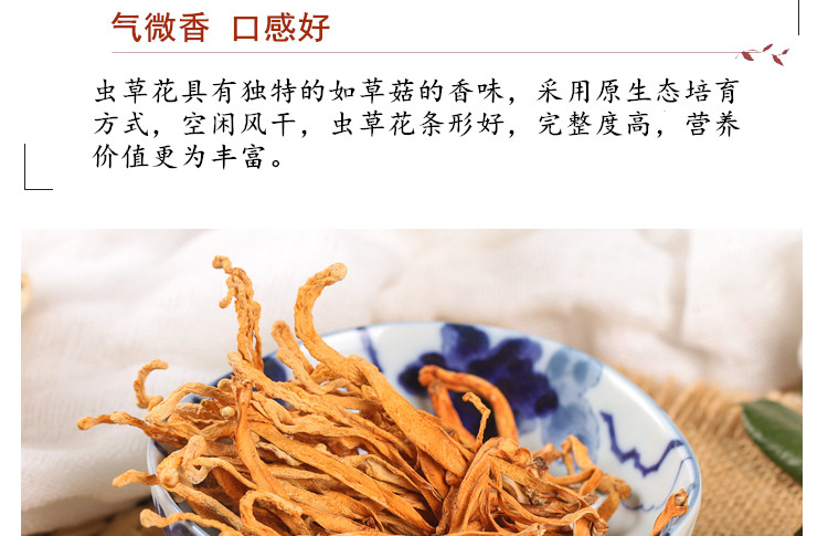金春草3.jpg
