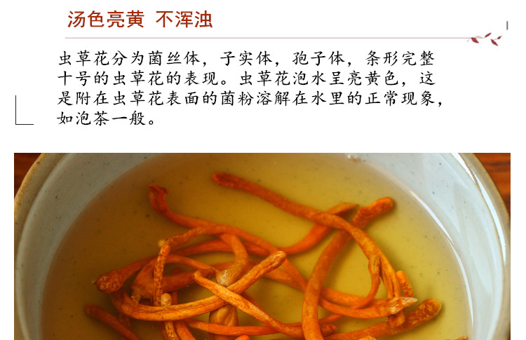 新虫草6.jpg