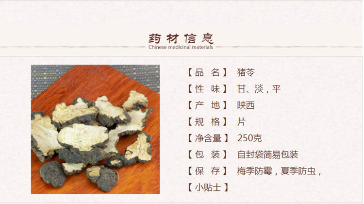 猪苓1.jpg