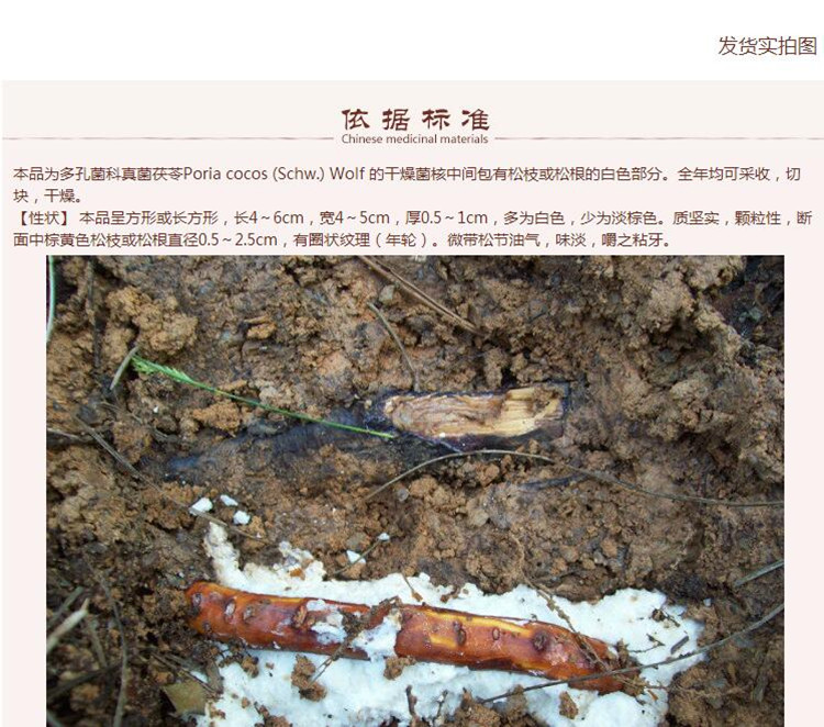选片茯神4.jpg