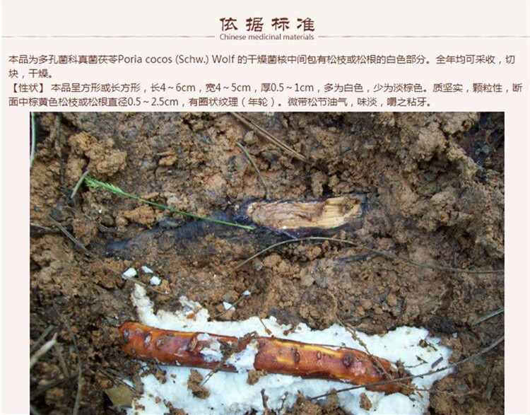 茯神木4.jpg