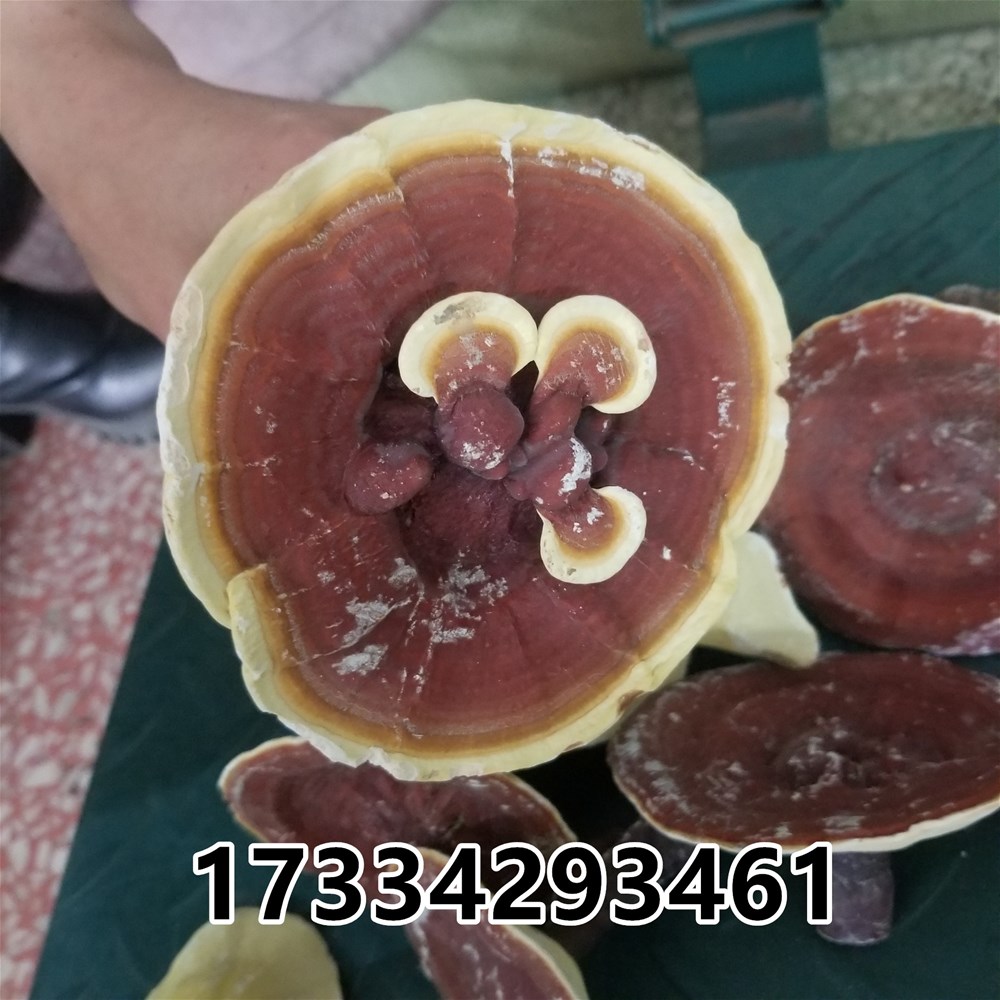 20190303_135650.jpg