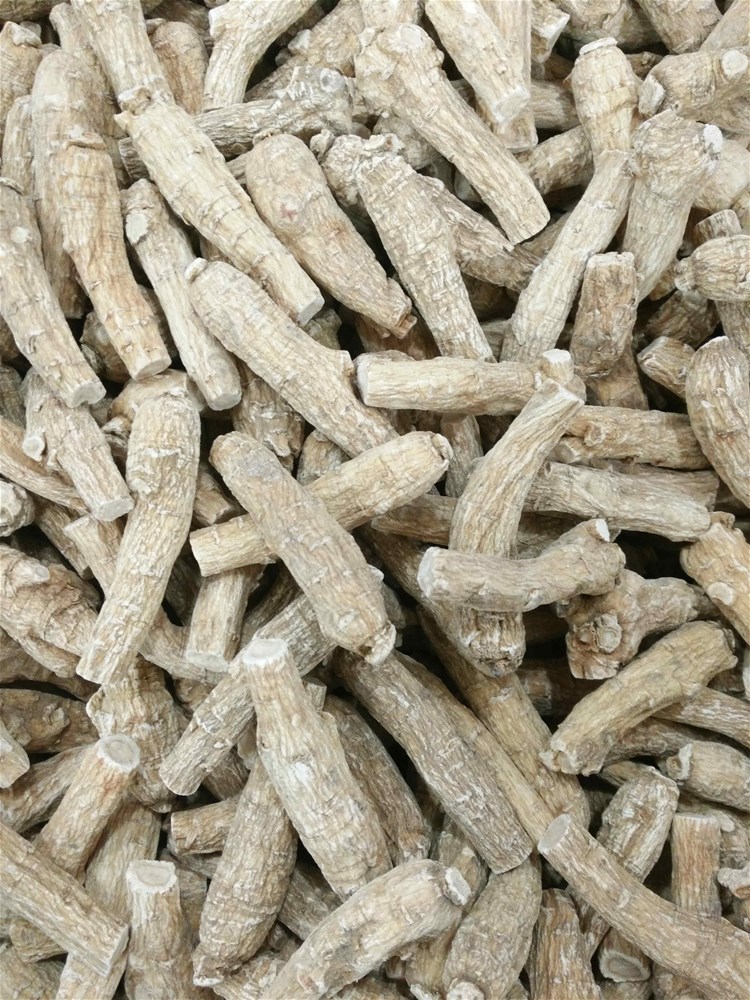 进口西洋参10g (3).jpg