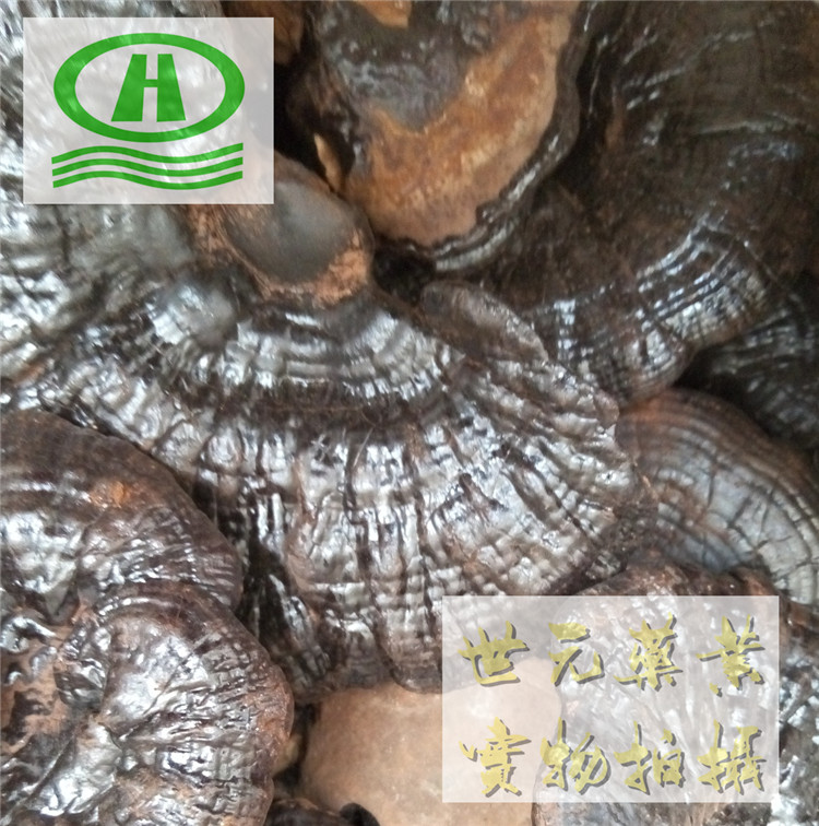 自然色无硫紫丹参圆片18统片.jpg