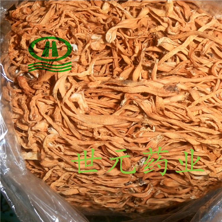 金虫草南边邻居85-01_副本.jpg