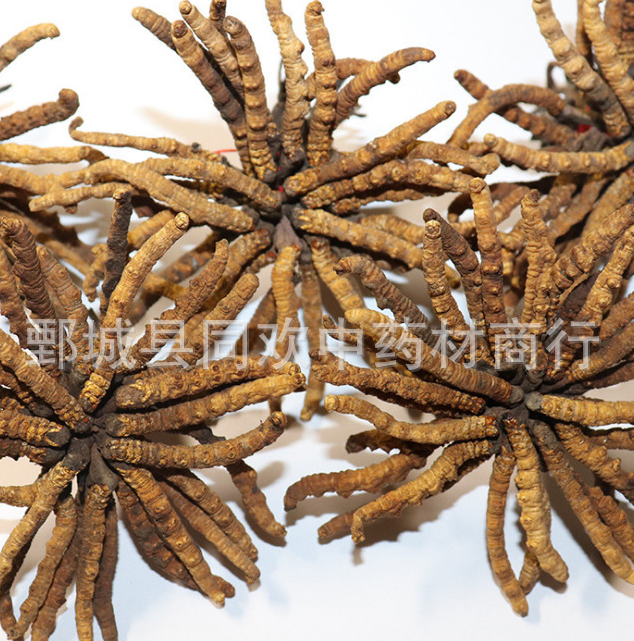 QQ截图20191209131713.png