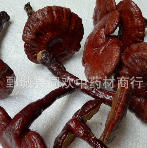 QQ截图20191203234742.png