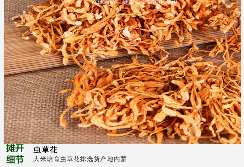 虫花4.jpg