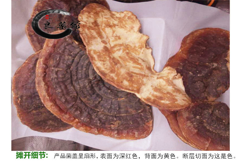 无柄4.jpg