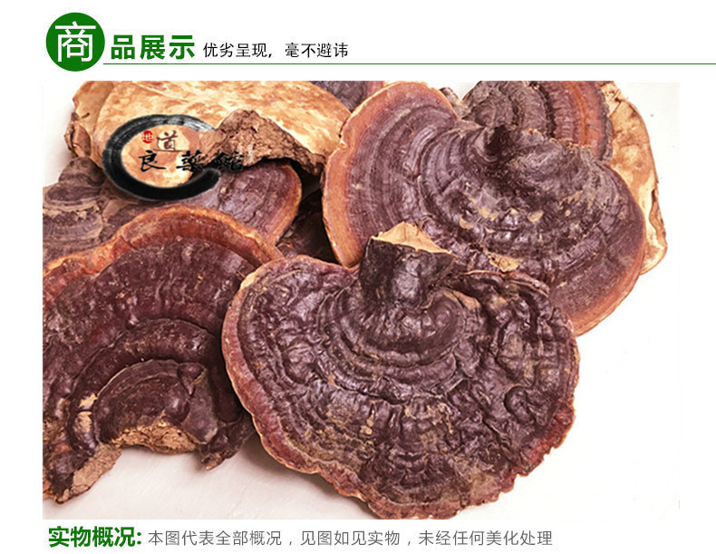 无柄3.jpg