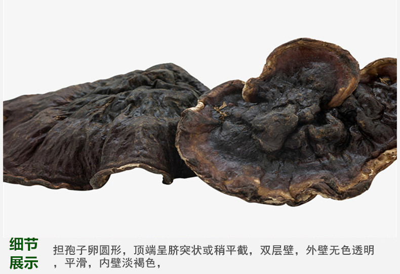 西藏灵芝5.jpg