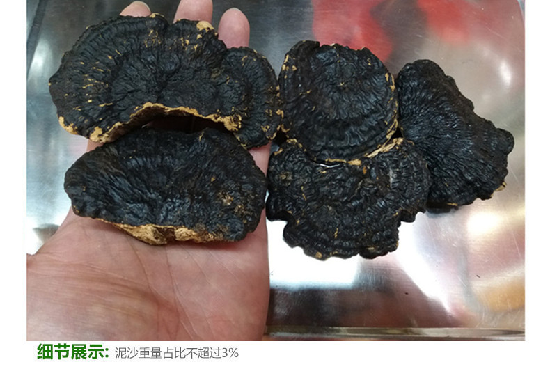 薄树芝5.jpg