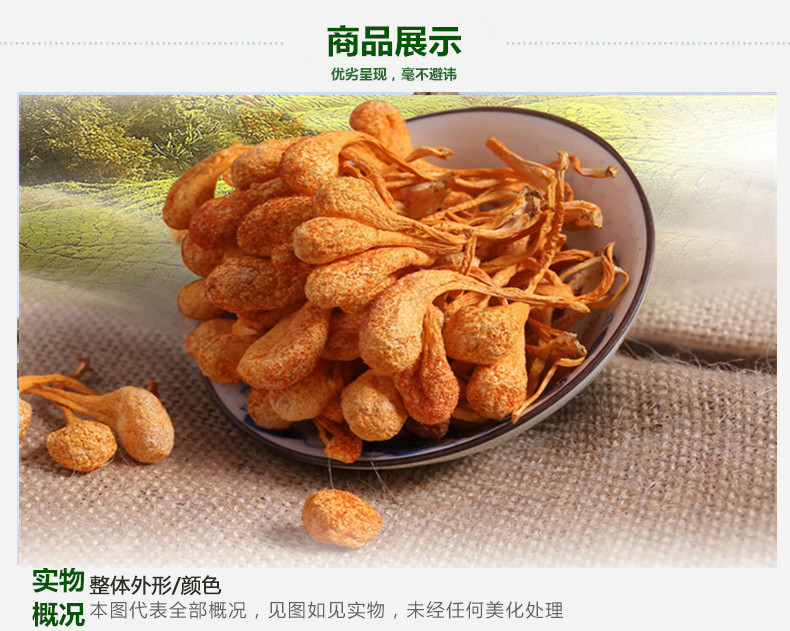 虫草花3.jpg