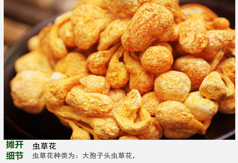 虫草花4.jpg