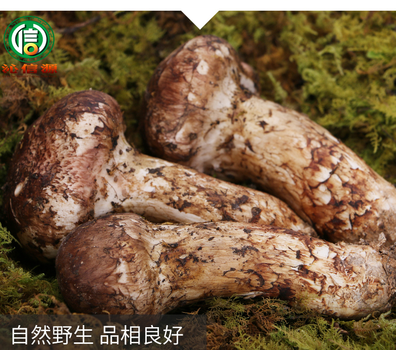 xiansongrongxiantu011.jpg