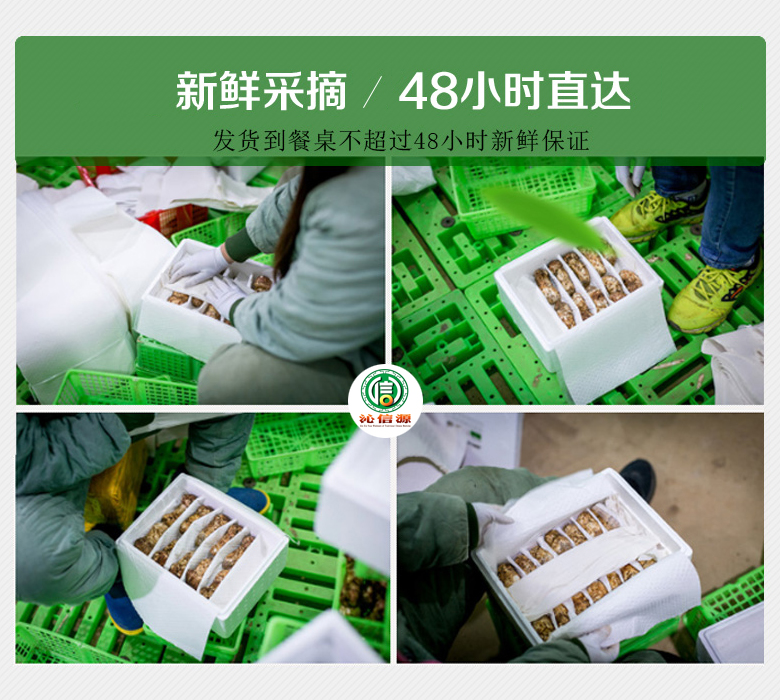 xiansongrongxiantu014.jpg