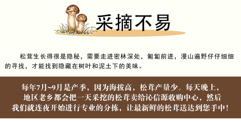 xiansongrongxiantu016.jpg