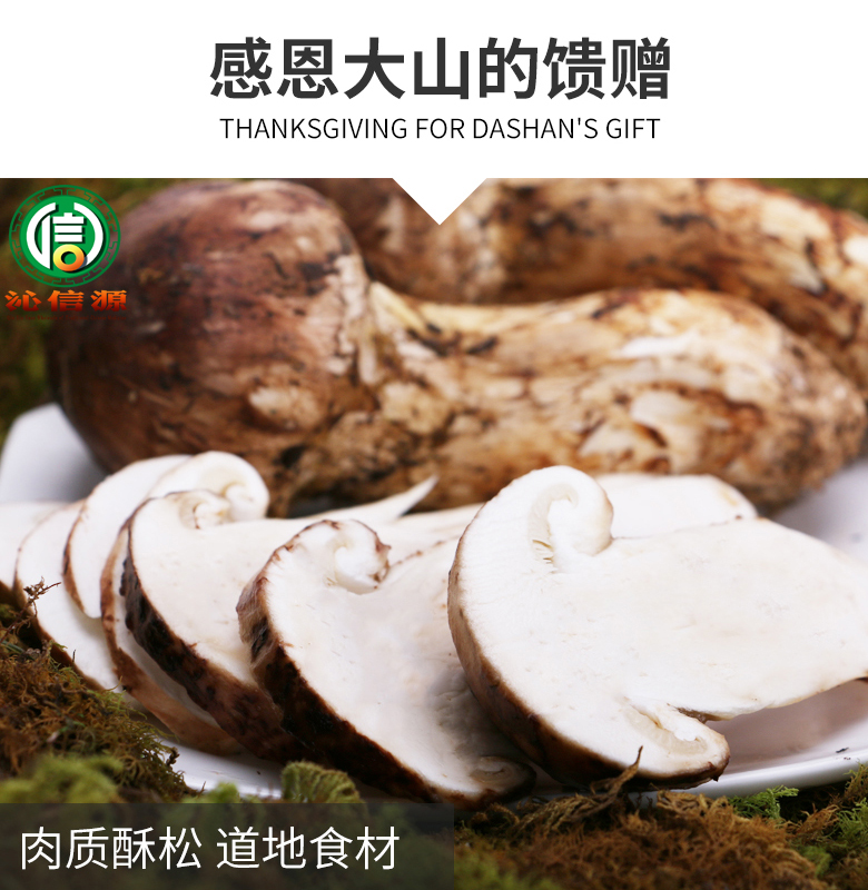 xiansongrongxiantu09.jpg