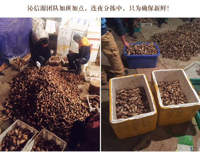 xiansongrongxiantu018.jpg
