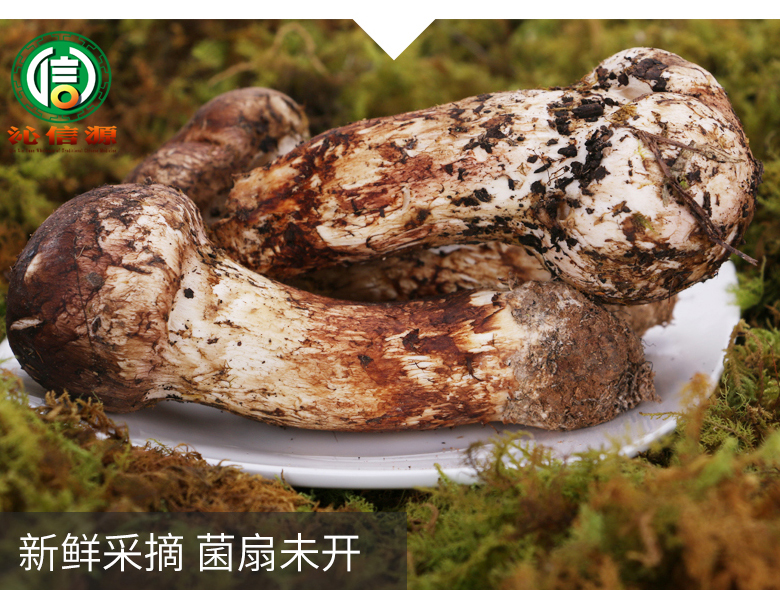 xiansongrongxiantu07.jpg