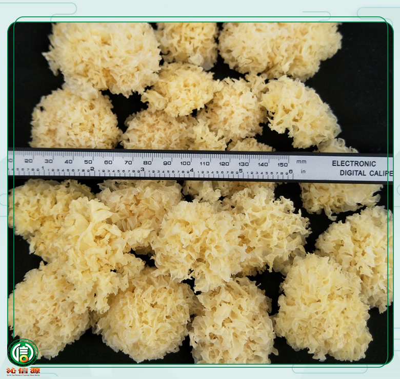 tongjiangduanmuyiner08.jpg
