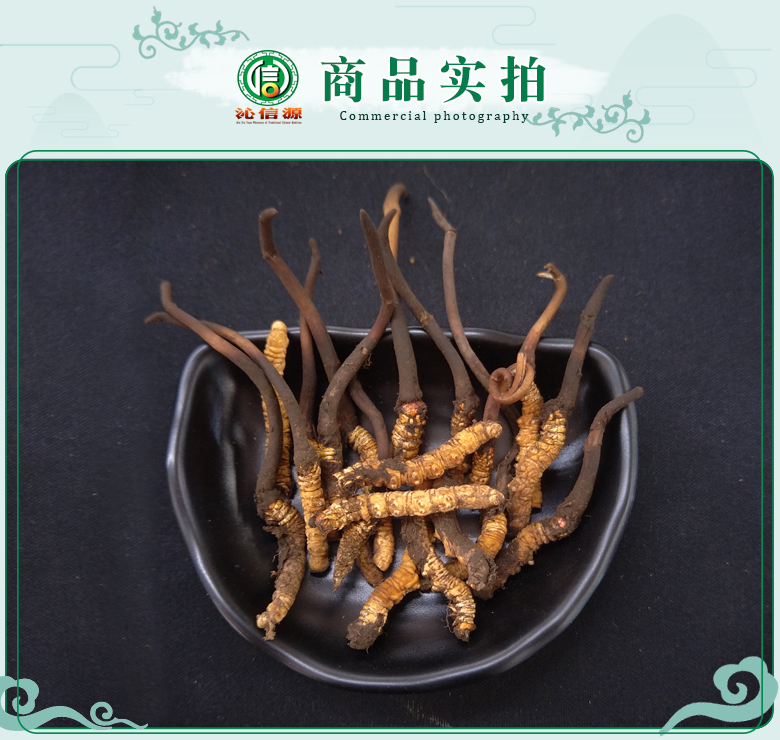 xinchonghcaoduancao09.jpg