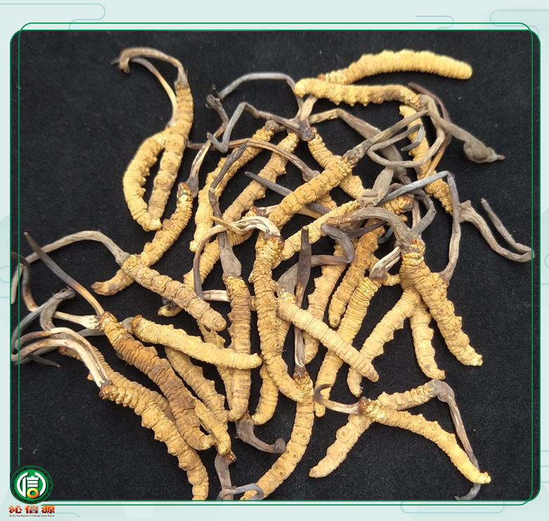 ganchongcao1800tiao010.jpg