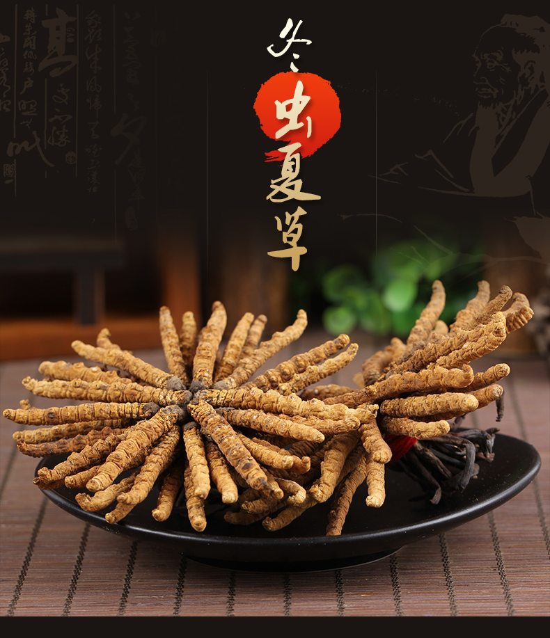 冬虫夏草_01.jpg
